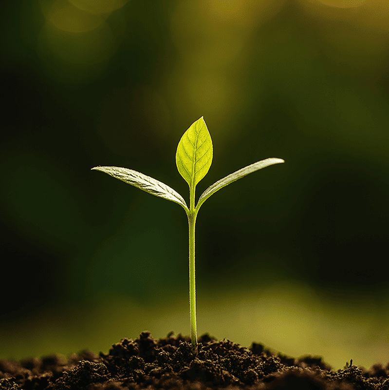 NOUVEAU SOUFFLE : Le bijou qui porte la vie