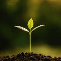 NOUVEAU SOUFFLE : Le bijou qui porte la vie