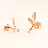 Boucles d'oreilles Feuille de Grâce